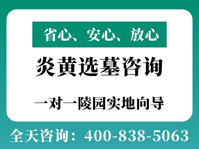 炎黄陵园黄帝陵旁的松柏森森自带庄严感，彰显中华文明之厚重