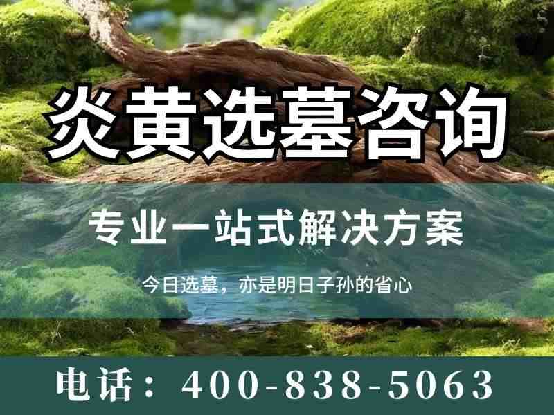 炎黄陵园夏天的浓荫把炎黄二帝陵护得严严实实，绿意盎然景观如画